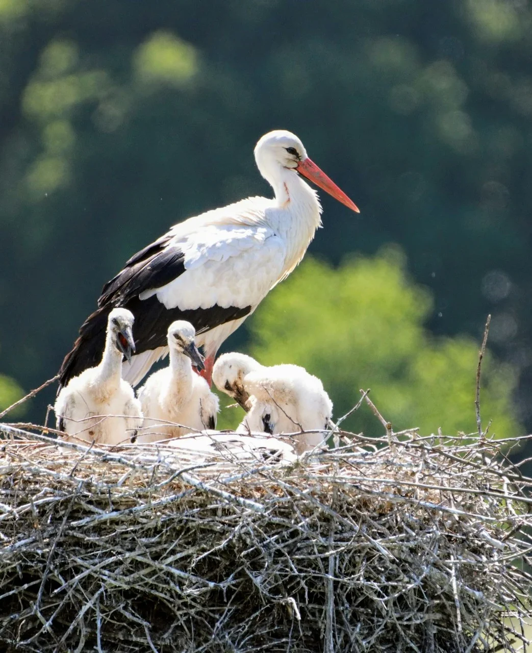 Photo by Maurice Schalker on Unsplash Photo by Maurice Schalker on Unsplash