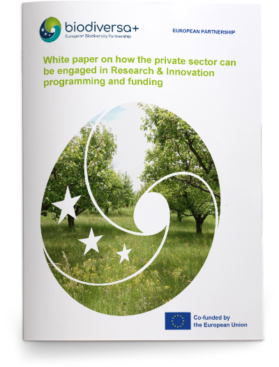 White paper on business engagement in R&I