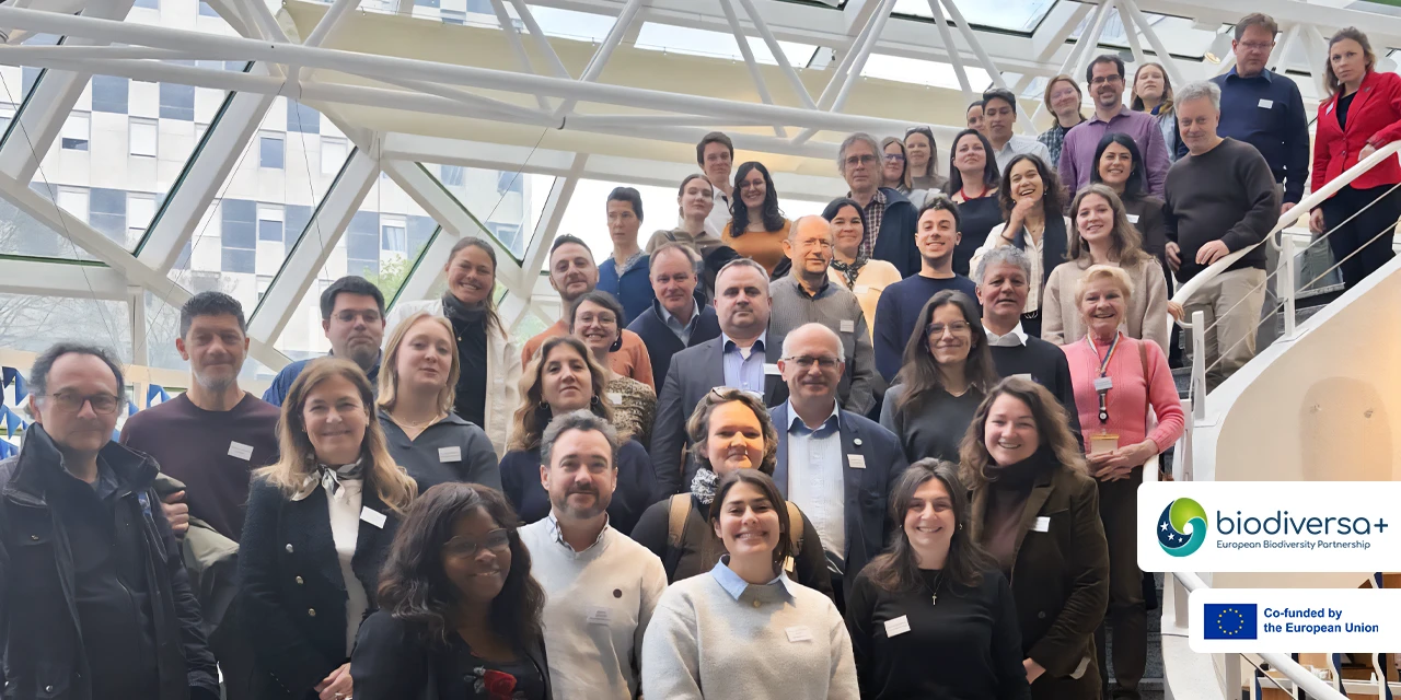 March 2026 ESB & AB meetings