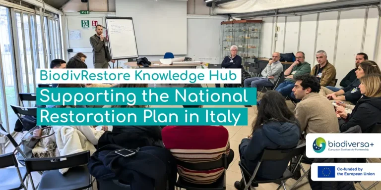 BiodivRestore Knowledge Hub - Italy
