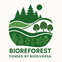 BiodivTransform_BIOREFOREST_logo BiodivTransform_BIOREFOREST_logo
