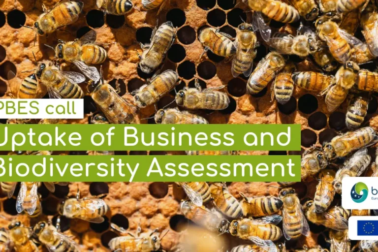 Call for contributions to support uptake of Business and Biodiversity Assessment