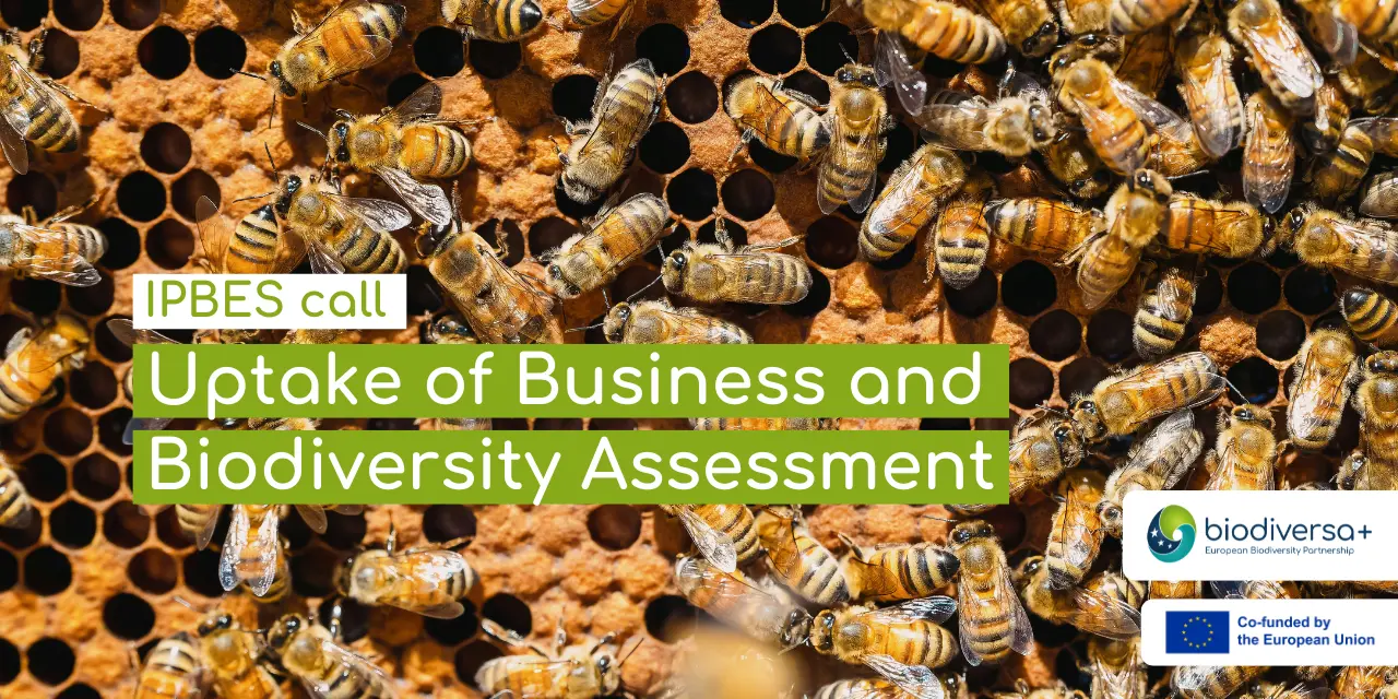 Call for contributions to support uptake of Business and Biodiversity Assessment Call for contributions to support uptake of Business and Biodiversity Assessment