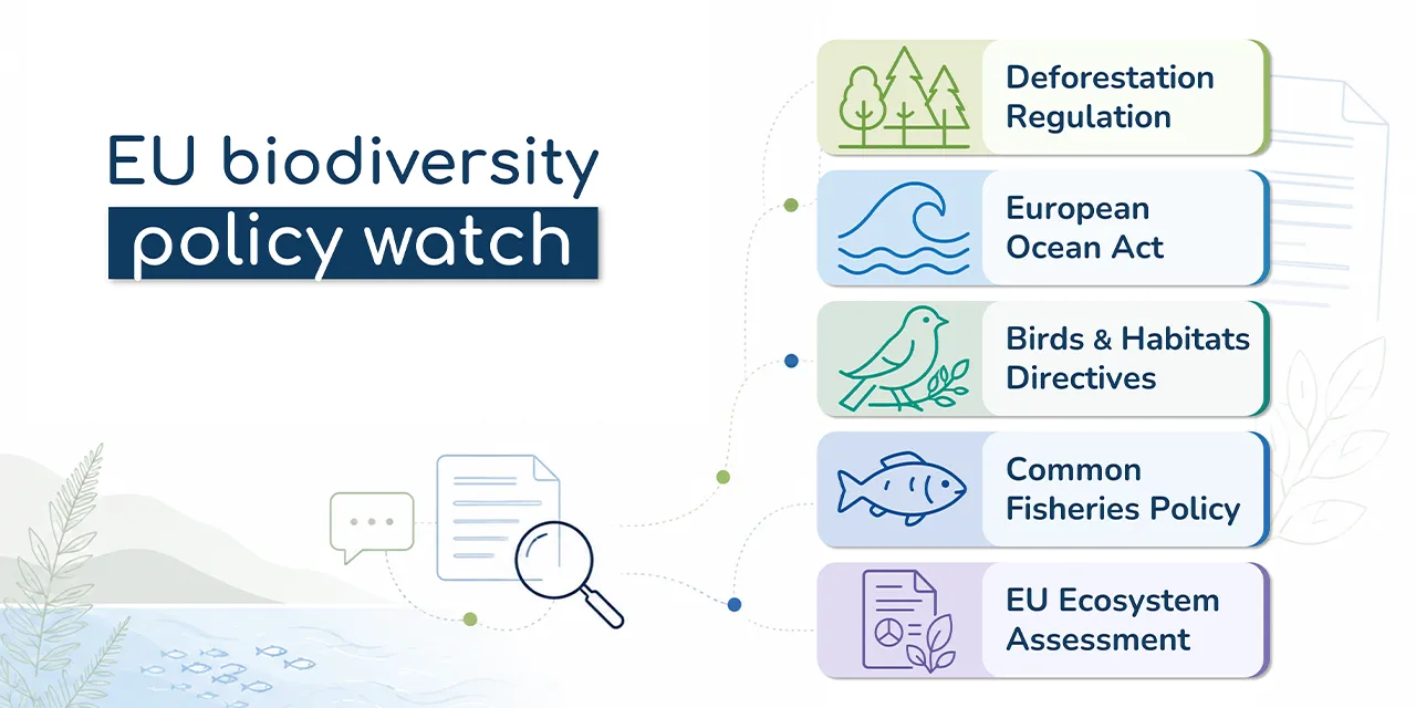 EU Policy watch