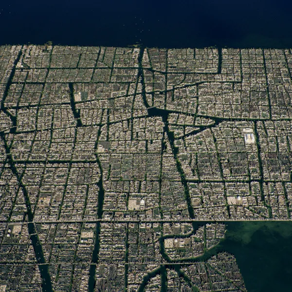 BiodivFuture, Chinampa grid