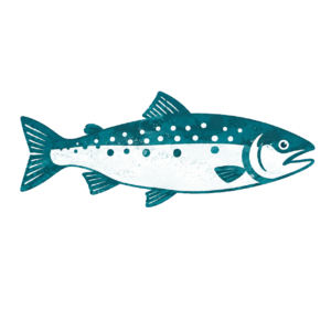 Blue-food_evidence_salmon