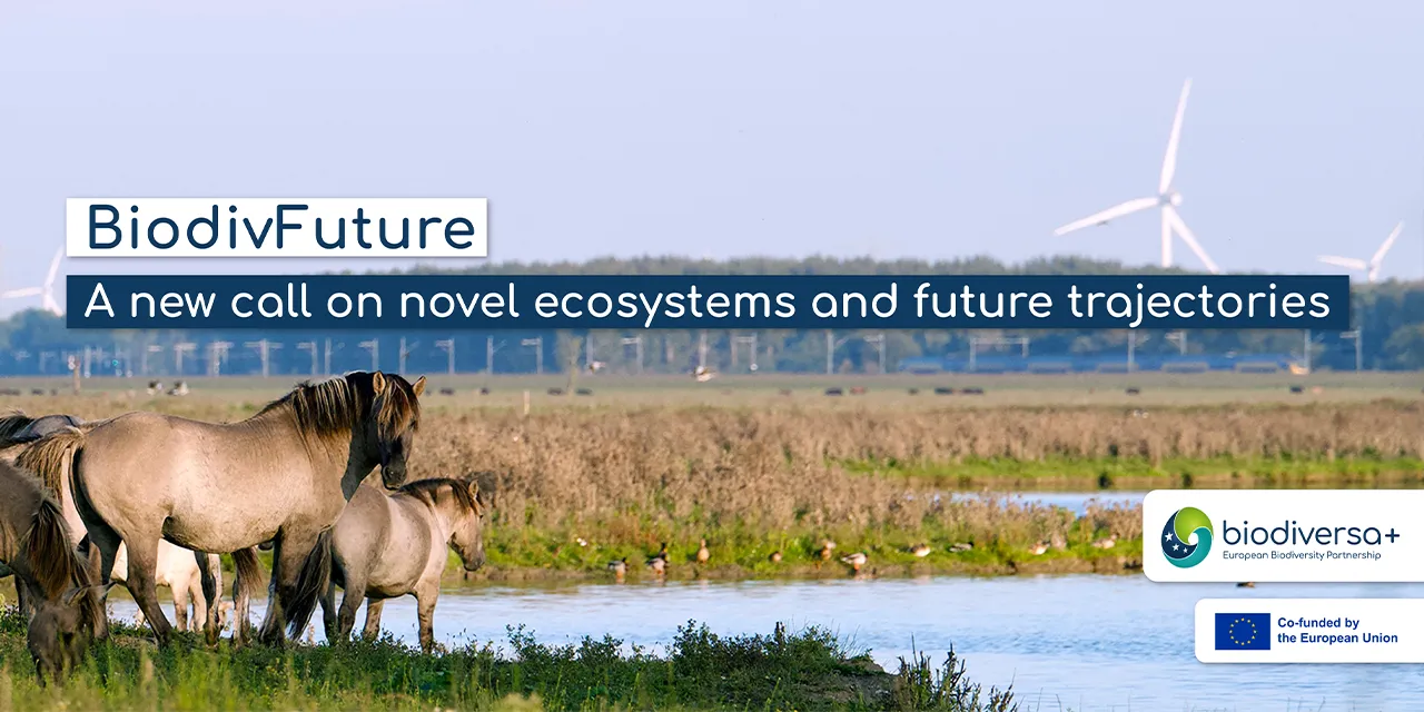 BiodivFuture prelaunch