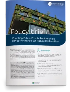 Policy-brief-PPP