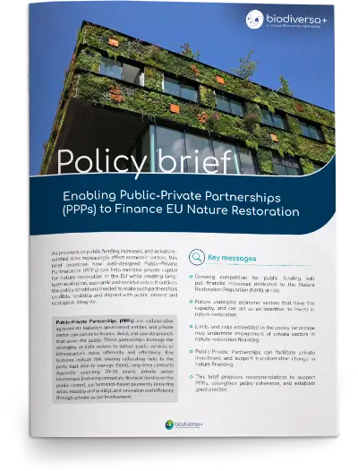 Policy-brief-PPP