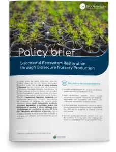Policy-brief-nursery