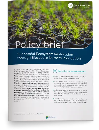 Policy-brief-nursery
