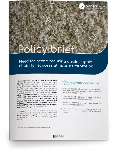 Policy-brief-seeds