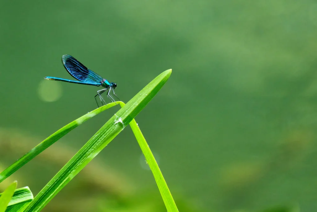 Photo by Clément Falize on Unsplash