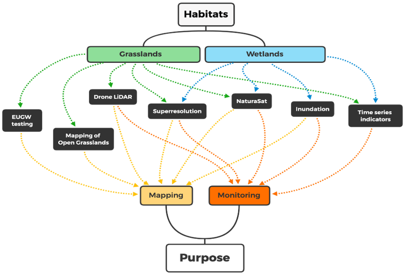 Overview of the Habitat Pilot subtasks and how they relate to grassland and wetland habitat mapping and monitoring.