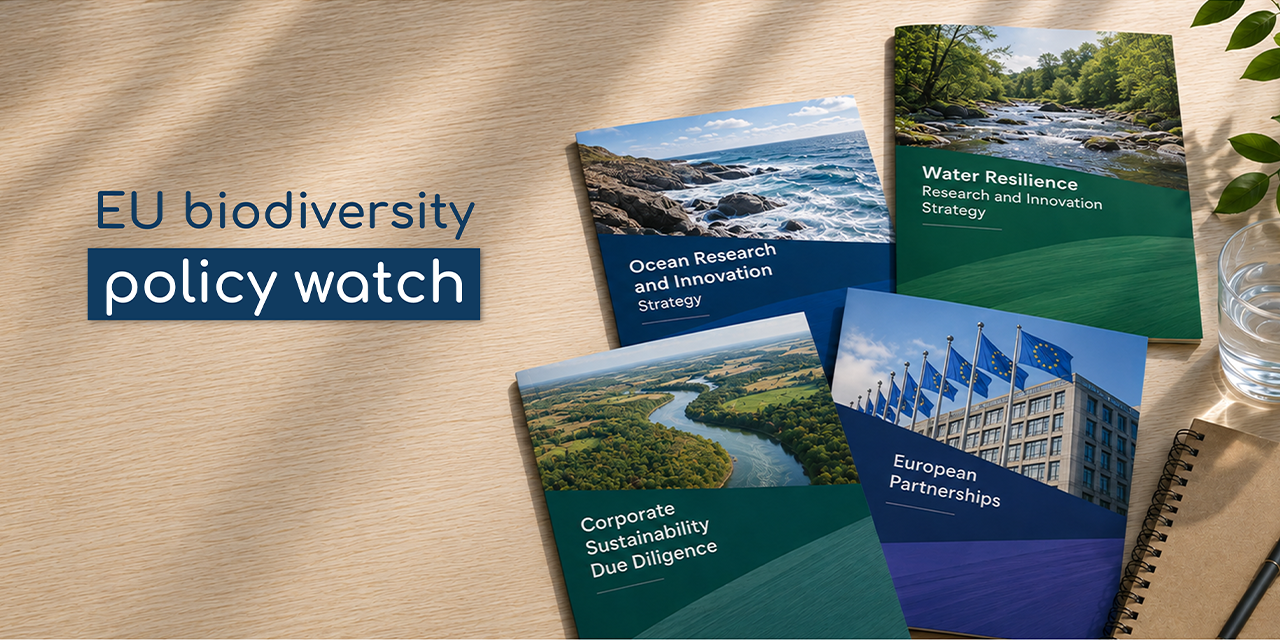 Policy watch
