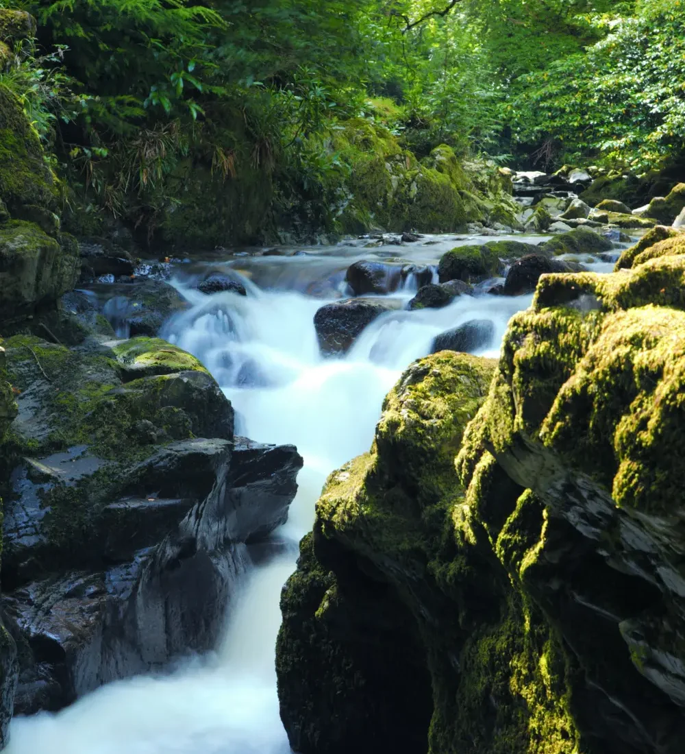 Photo by Phill D on Unsplash (1) Photo by Phill D on Unsplash (1)