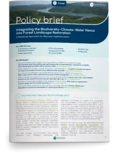 Policy-brief-forest
