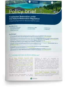 Policy-brief-freshwater