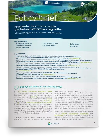 Policy-brief-freshwater