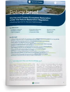 Policy-brief-marine