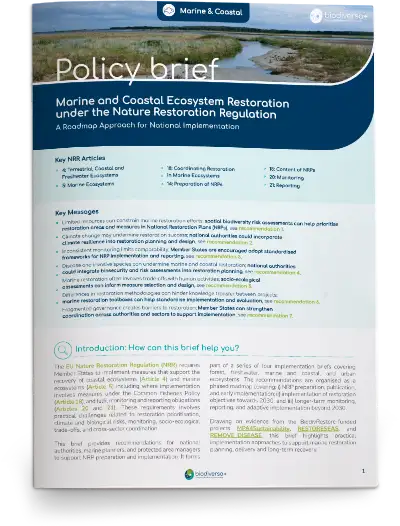 Policy-brief-marine