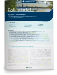 Policy-brief-urbanwaters