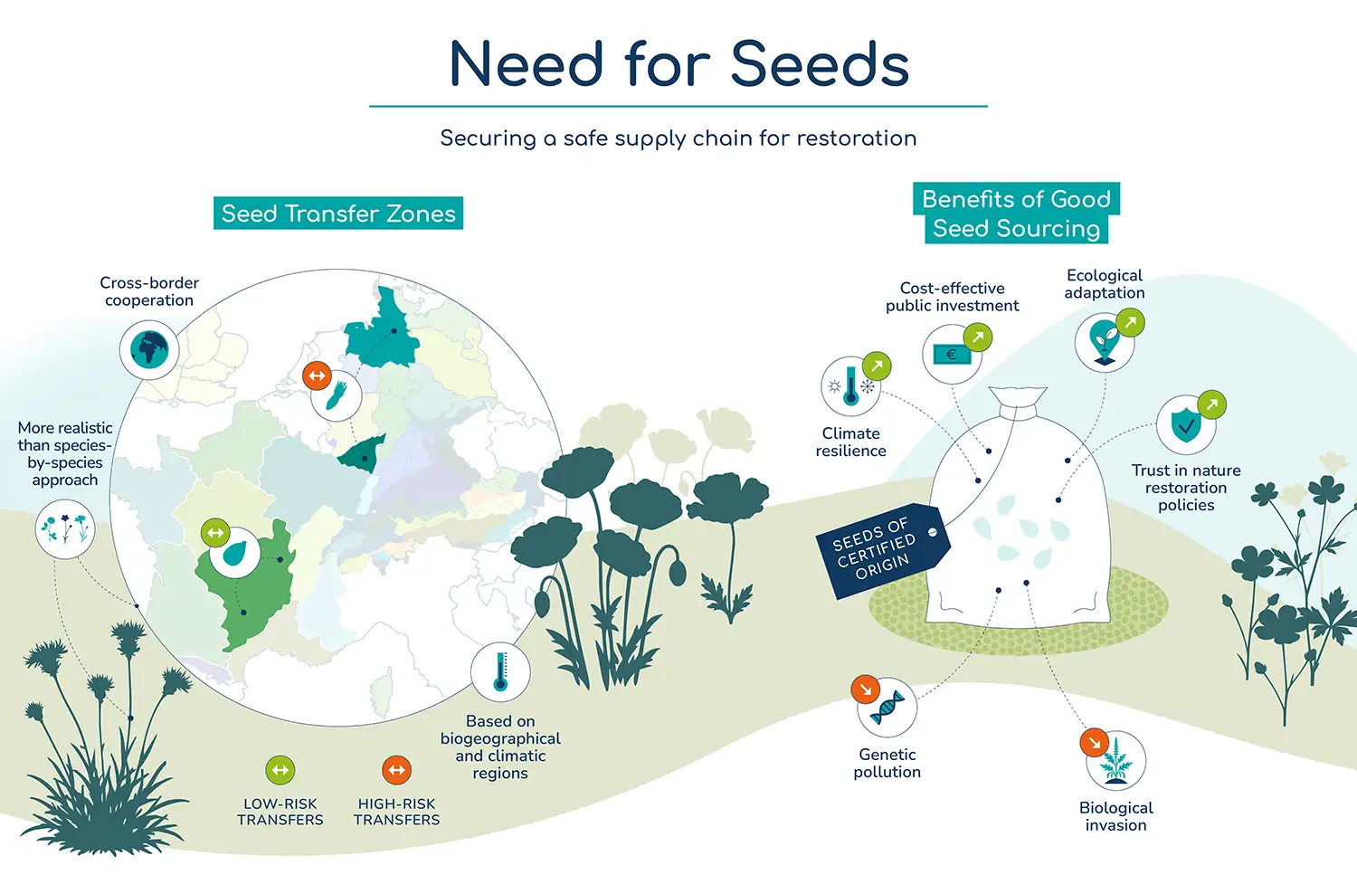 seed-transfer-zones