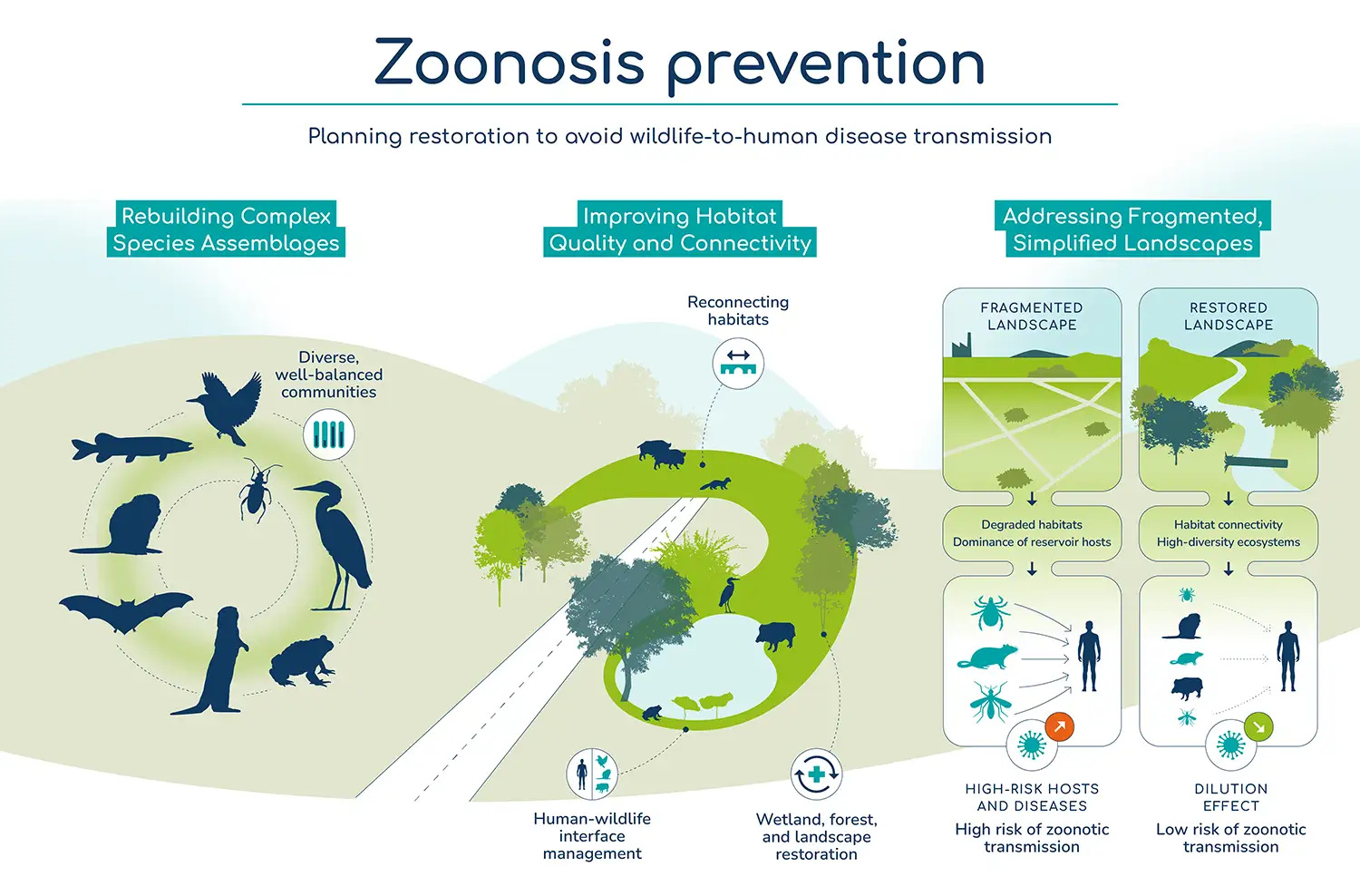 zoonosis-prevention