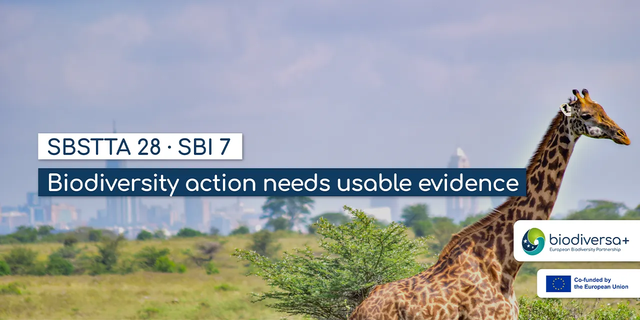 Lessons from SBSTTA 28 and SBI 7