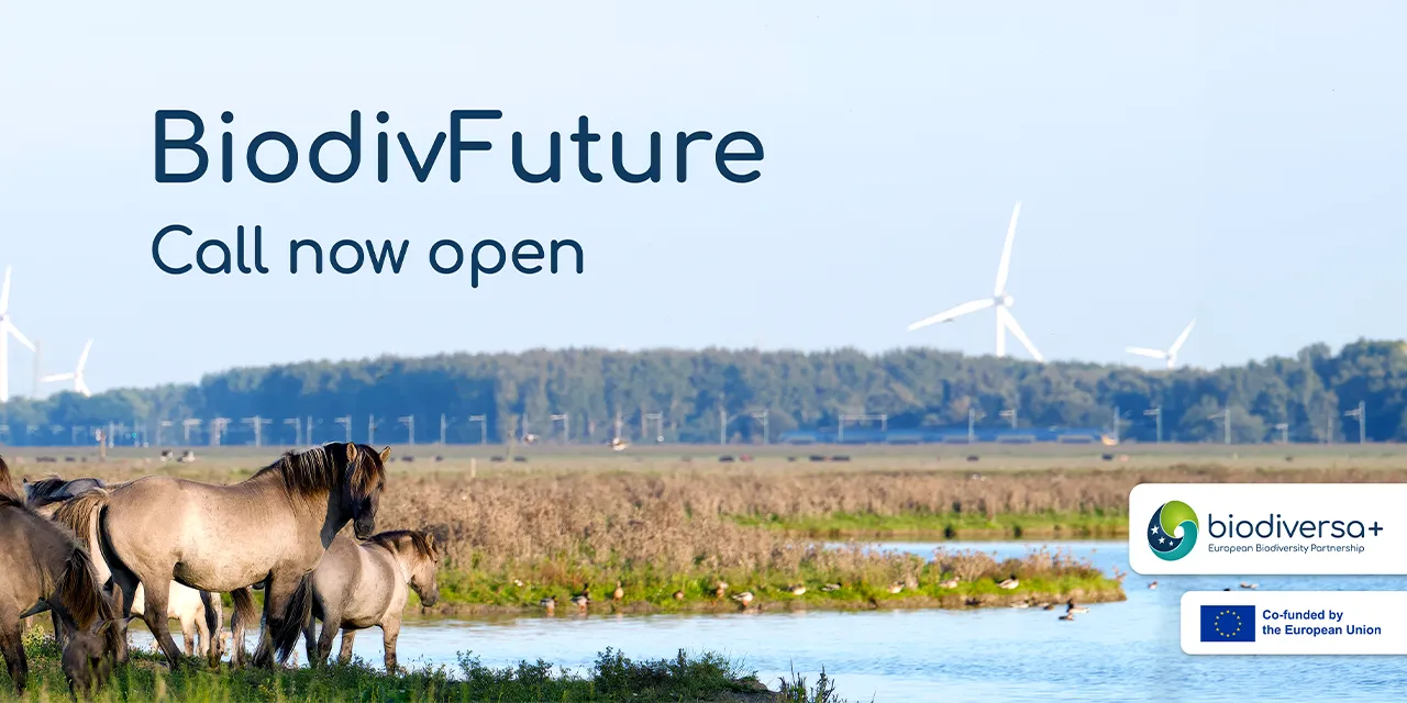 BiodivFuture call now open