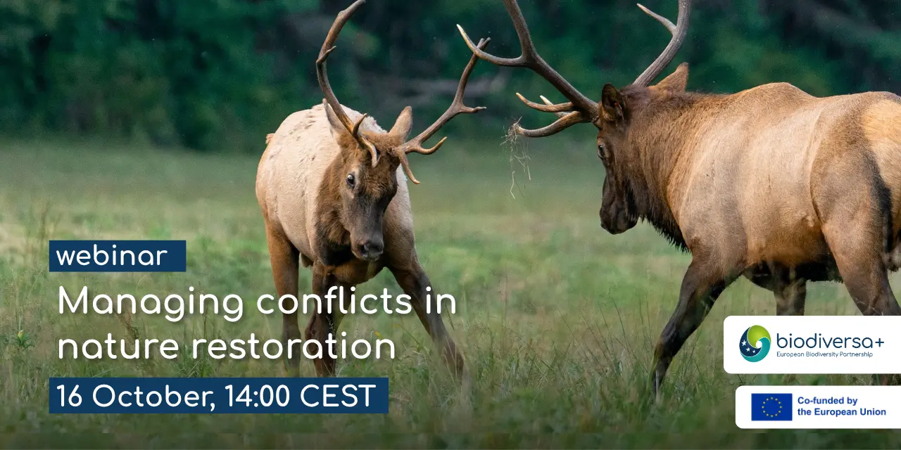 IMG_20261002_webinar-conflicts_1280x640